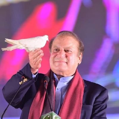 6236Ymt's profile picture. vice president youth wing faisalabad