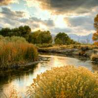 sinkum80's profile picture. 