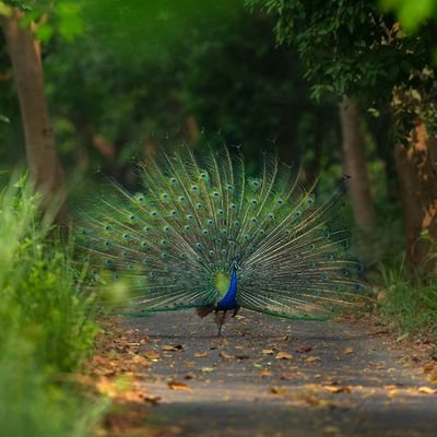 देश की आत्मा, ग्राम के खोये हुए पुराने वैभव को पाने की ललक, हर गांव आत्मनिर्भर हो, स्वस्थ हो, आनंदित हो, इसीकेलिये आइए जुड़े।