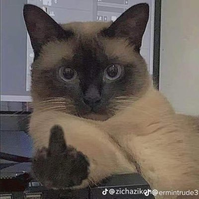 Duck68538865512's profile picture. 