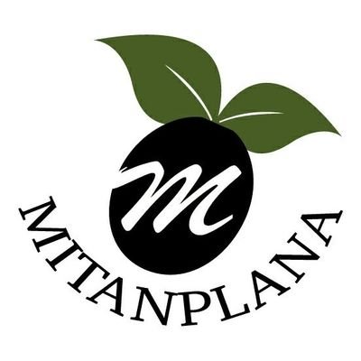 OliMitanplana Profile Picture