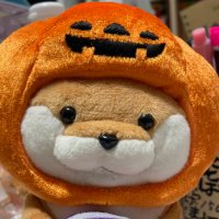 なる@8ｍ🦖 (@gacchany) Twitter profile photo