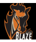 Des Moines Blaze (@desmoinesblaze) Twitter profile photo Des Moines Blaze (@desmoinesblaze) Twitter profile photo