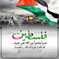 ســــ🕊️🇵🇸ـديم (@sdym18056) 's Twitter Profile