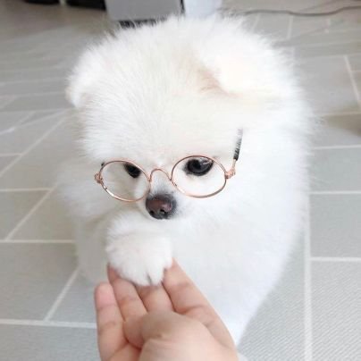 RAMASY720988's profile picture. 백 현 ...♥︎🍓

@B_hundred_Hyun 🫶🏻

BaEkHyUn ✨️ 💙 

 exo_l arab 🇸🇾✌️