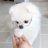 RAMASY720988's profile image
