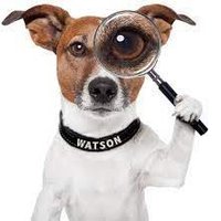 TheIrishWatchdog (@watchdogth96012) 's Twitter Profile Photo TheIrishWatchdog (@watchdogth96012) 's Twitter Profile Photo