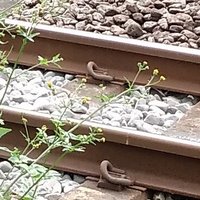 黒魚＆ (@urn1nnmd59vdt59) 's Twitter Profile Photo