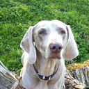 Sameer Pathak - @sameer_pathak - Twitter