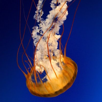 mattdraco13's profile picture. 