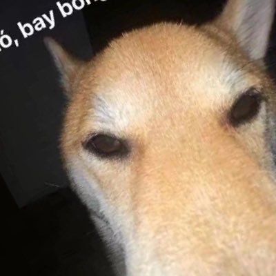 hinm_tahn's profile picture. hi