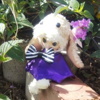 ♡ゆみこーん♡ (@uyumi5007) Twitter profile photo