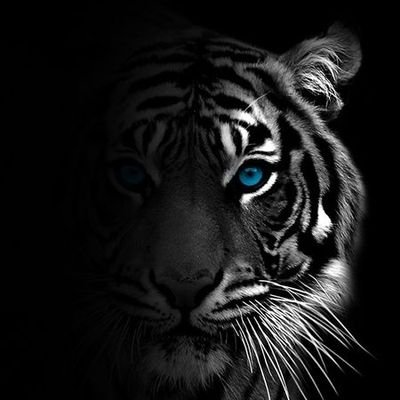 ojeremydavid89's profile picture. Data Analyst
Python 🌟