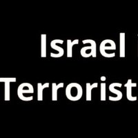 🔻Nusrat Zahra🔻🇵🇸 (@nusrat_xahra) 's Twitter Profile