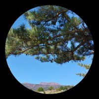 코 지 (COZY) (@haechanyang7) 's Twitter Profile Photo 코 지 (COZY) (@haechanyang7) 's Twitter Profile Photo