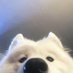 เป้ (@pe1az) Twitter profile photo เป้ (@pe1az) Twitter profile photo