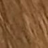 moretocome2568's profile picture. 