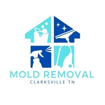 Mold Removal Clarksville, TN | Mold Remediation Services | CALL US +1 931-344-0756