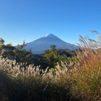 とまっとぅう (@dhe6c) 's Twitter Profile