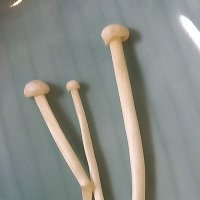 Enoki@1年間だけ労働 (@shimeji_mo_suki) 's Twitter Profile