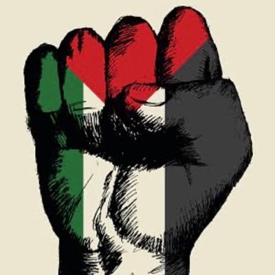 kemal_cesur's profile picture. 