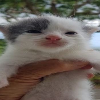 𝙸𝙽chanさんのプロフィール画像