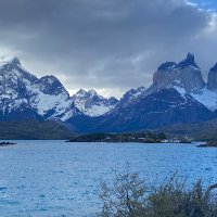 Patricia Garip (@garippatricia) 's Twitter Profile Photo