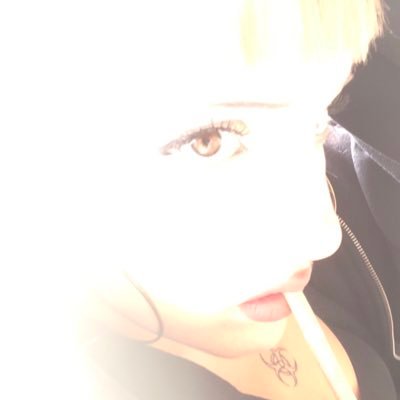 warrasusiaperra's profile picture. ℮