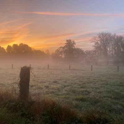 hallo welkom op mijn profiel ik maak graag natuur foto’s kijk maar eens rond