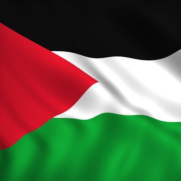 mrtechguy99's profile picture. 