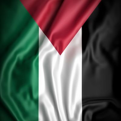 sameer576tariq's profile picture. A Muslim , A Pakistani and nothing else...