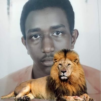 dmyks50563Adbos's profile picture. 