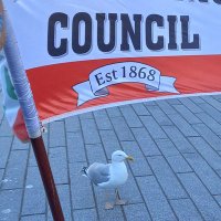 A Seagull Walks Into The Co-op(@SeagullCoop) 's Twitter Profileg