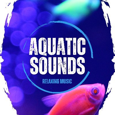 Welcome to Aquatic Sounds! #aquaticsounds
Enjoy our Live Fish Aquarium & Relaxing Music
#aquaticsounds #relaxingmusic #sleepmusic #aquarium #fish #AnimalLovers