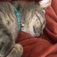 Alex (@ahernandez130) 's Twitter Profile