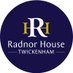 Radnor House School Twickenham (@RadnorHouseTW) Twitter profile photo
