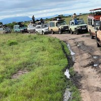 WANYAMA THOMAS JAMES (@greenwesttours) 's Twitter Profile Photo WANYAMA THOMAS JAMES (@greenwesttours) 's Twitter Profile Photo