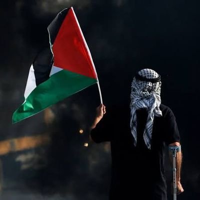 If you support Palestine then follow this account!
 As purpose is to raise voice against Israeli terrorism!✊
ألـلَّـھُــمَ؏ َـجــِّـلْ لِوَلـیِـڪْ ألـْـفــَـرَج