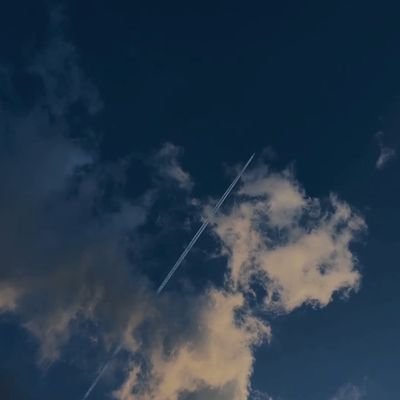 dumbrightclapps's profile picture. barely getting by. (kaputs)
not entirely sure what I'm supposed to do with my own ''presenting'' future. . . mlep