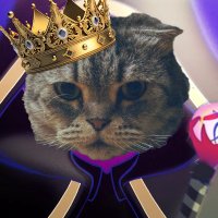 🚨Neeko⁴ˣ⁴ 🇻🇪🚨 #1 (◡ ω ◡) (@nekowaii_) 's Twitter Profile