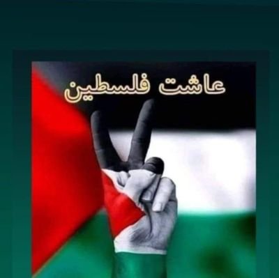 Mostafa13267913's profile picture. محب للكتاب والسنه
بلدى مصر أم الدنيا ووطني من المحيط إلى الخليج