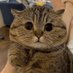 Mega (@omegaluldev) Twitter profile photo Mega (@omegaluldev) Twitter profile photo