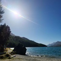 thelastreveler (@thelastreveler) 's Twitter Profile Photo