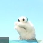 ださんのプロフィール画像