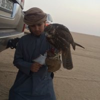 مطلق الحسيني (@mothamek66) 's Twitter Profile