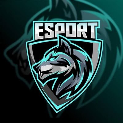 Pro Esport Org
Breed The Best E-Athlete In The Northern Hemisphere