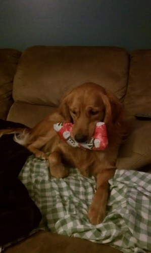 bpowers24's profile picture. 