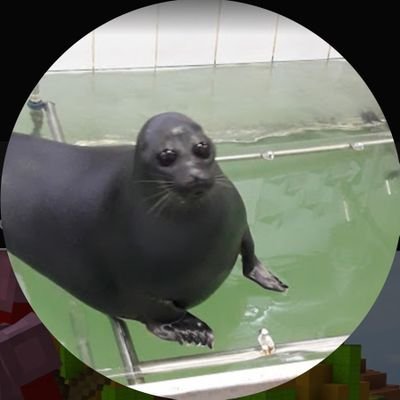 Kake55_'s profile picture. literally Kake'd up