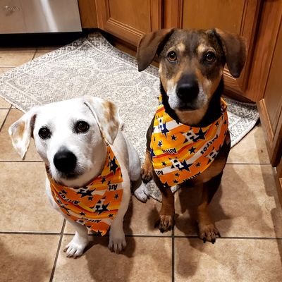 CadderMad's profile picture. ✝️ Love America! 🇺🇲 Can't hate the mainstream media enoigh. 🇺🇲 ✝️ #MAGA ❤️Trump, Vance, RFK & Elon! NO DMs.