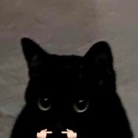 tina (@mokak272304) 's Twitter Profile